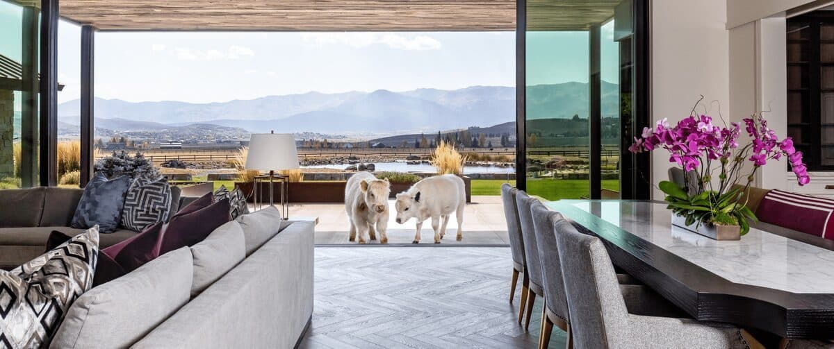 Fifth Avenue Ranch
